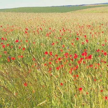 Hébergement de vacances Dom Skomackie Wzgorze Widok Na Jezioro